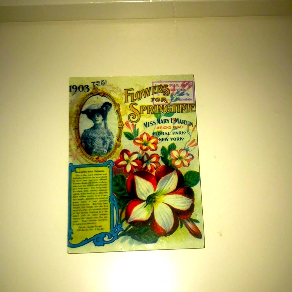 Picture - Picture 3 of 4